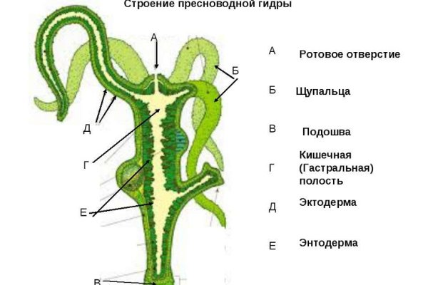 Замена hydra
