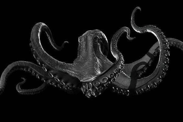 Kraken place