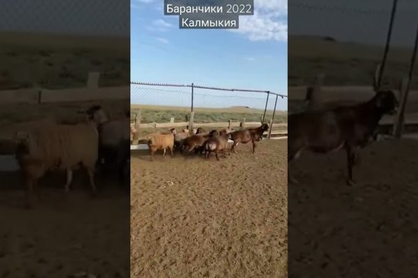 Что случилось с кракеном сайт