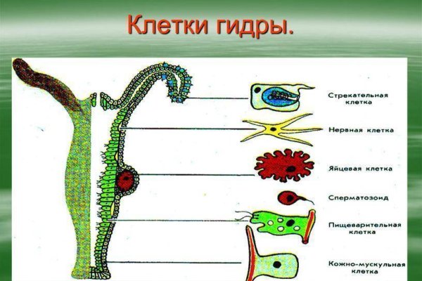 Что такое кракен сайт