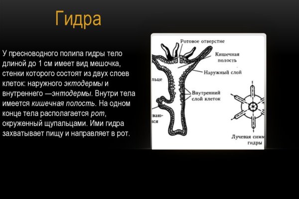 Кракен тор текст